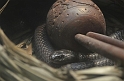 Kids_DZoo_Safari-I (60)